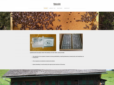 www.bukovsek.com snapshot
