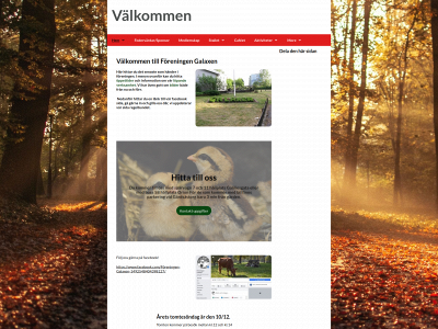 galaxen.123minsida.se snapshot