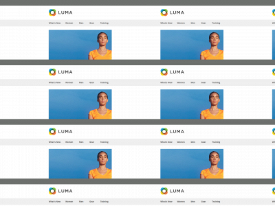 orders.wolfeinc.com snapshot