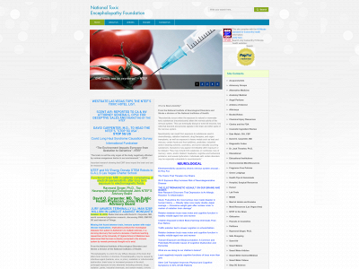national-toxic-encephalopathy-foundation.org snapshot