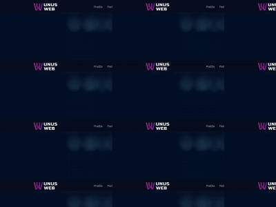 unusweb.lt snapshot