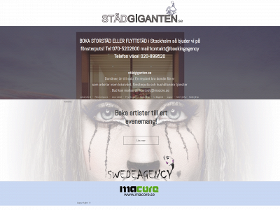 städgiganten.se snapshot
