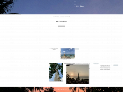 thearielaperspective.com snapshot
