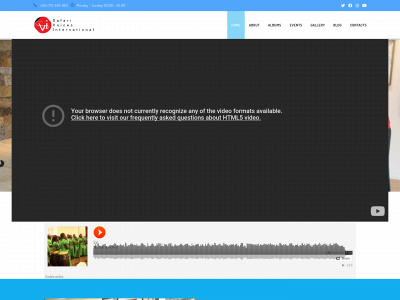 safarivoicesinternational.com snapshot