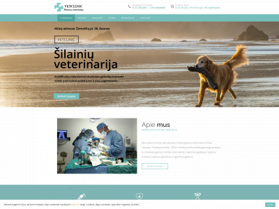 vetclinic.lt snapshot