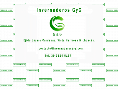 invernaderosgyg.com snapshot