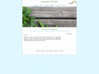 vivasol.lt snapshot