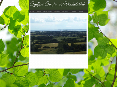 sydfynssingle.dk snapshot