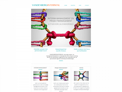 vandenberginterim.nl snapshot