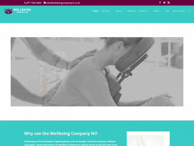 wellbeingcompanyni.com snapshot