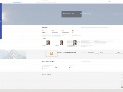 bizintel.com.au snapshot