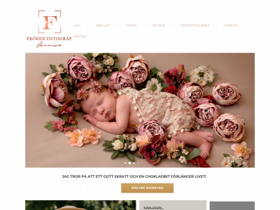 frokenfotograf.se snapshot