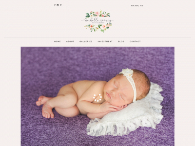 michellerooneyphotography.com snapshot