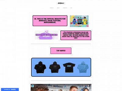 19517.weebly.com snapshot