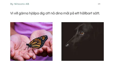bynilssons.se snapshot