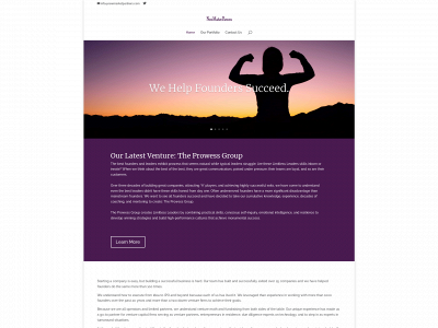 newmarketpartners.com snapshot