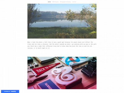 davidriverogarcia.weebly.com snapshot