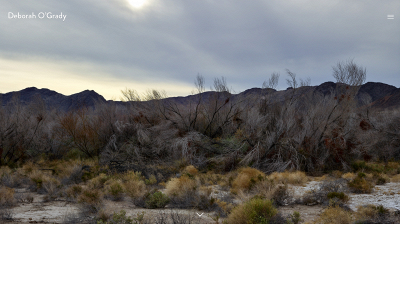 deborahogrady.com snapshot
