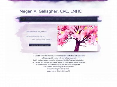 www.meganagallagher.com snapshot