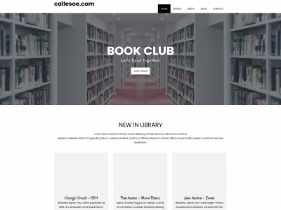 callesoe.com snapshot
