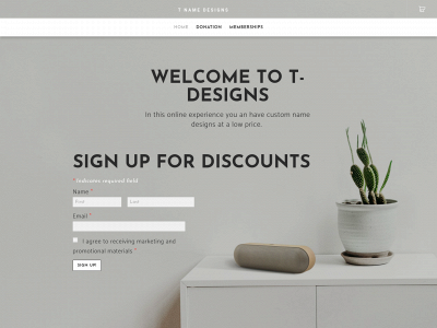 tnamedesigns.weebly.com snapshot