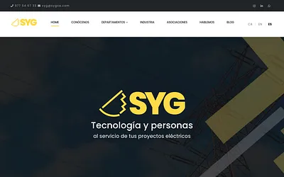 sygsa.com snapshot