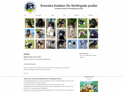 flerfargadpudel.se snapshot