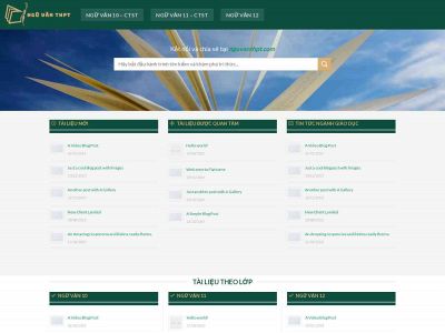 nguvanthpt.com snapshot
