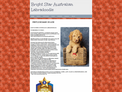 brightstarald.fi snapshot