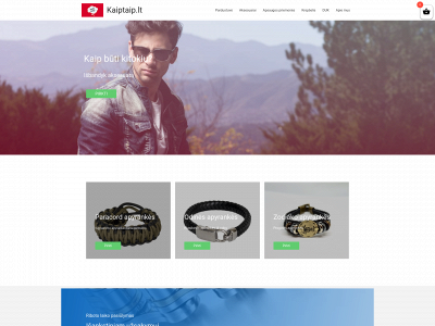 kaiptaip.lt snapshot