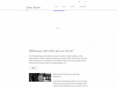 dankoon.se snapshot