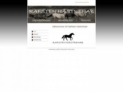 rafstenhastrehab.se snapshot