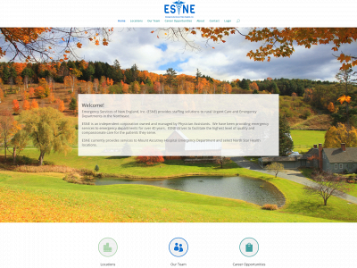 esneinc.com snapshot