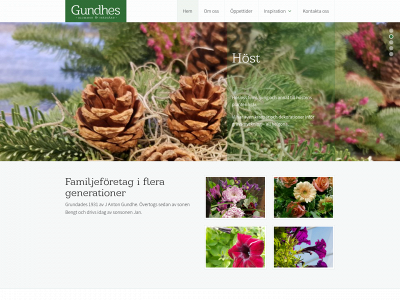 gundhes.se snapshot