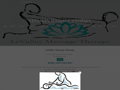 lvmt.weebly.com snapshot