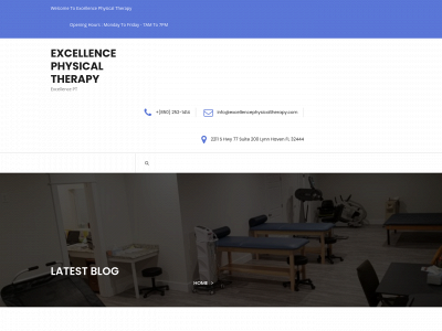 excellencephysicaltherapy.com snapshot
