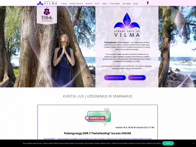 tetametodas.lt snapshot