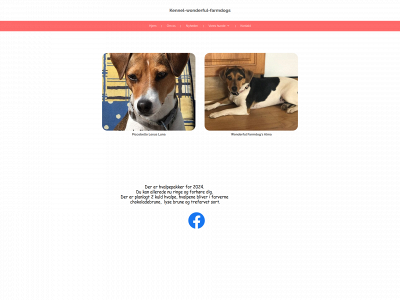 kennel-wonderful-farmdogs.dk snapshot