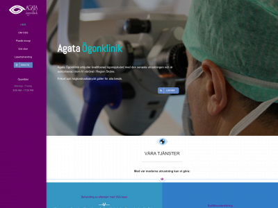 agataogonklinik.se snapshot