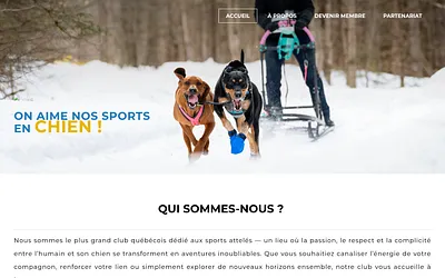 www.scaquebec.com snapshot