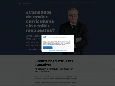 cvprofesional.es snapshot
