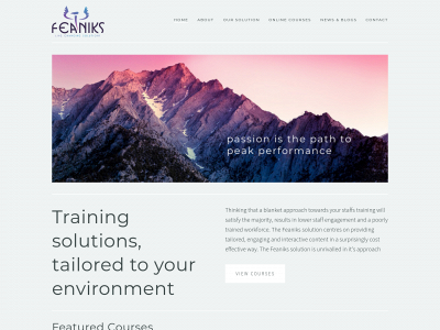 feaniks.com snapshot