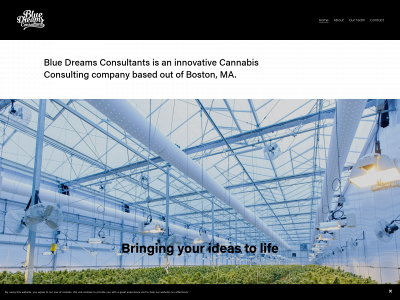 bluedreamsconsultants.com snapshot