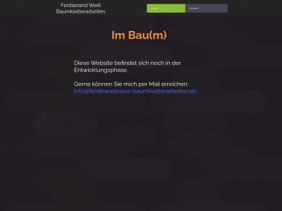 ferdinandweiss-baumkletterarbeiten.de snapshot