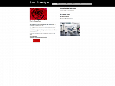 salonrosenique.nl snapshot