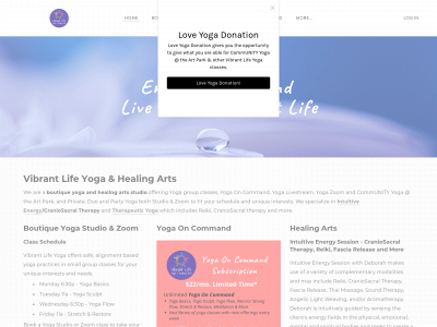 www.vibrantlifestudio.com snapshot