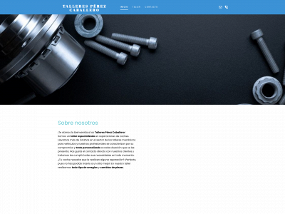 www.talleresperezcaballero.es snapshot