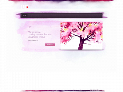 liclighting.com snapshot