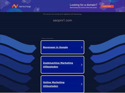 seopro1.com snapshot