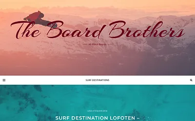 theboardbrothers.com snapshot